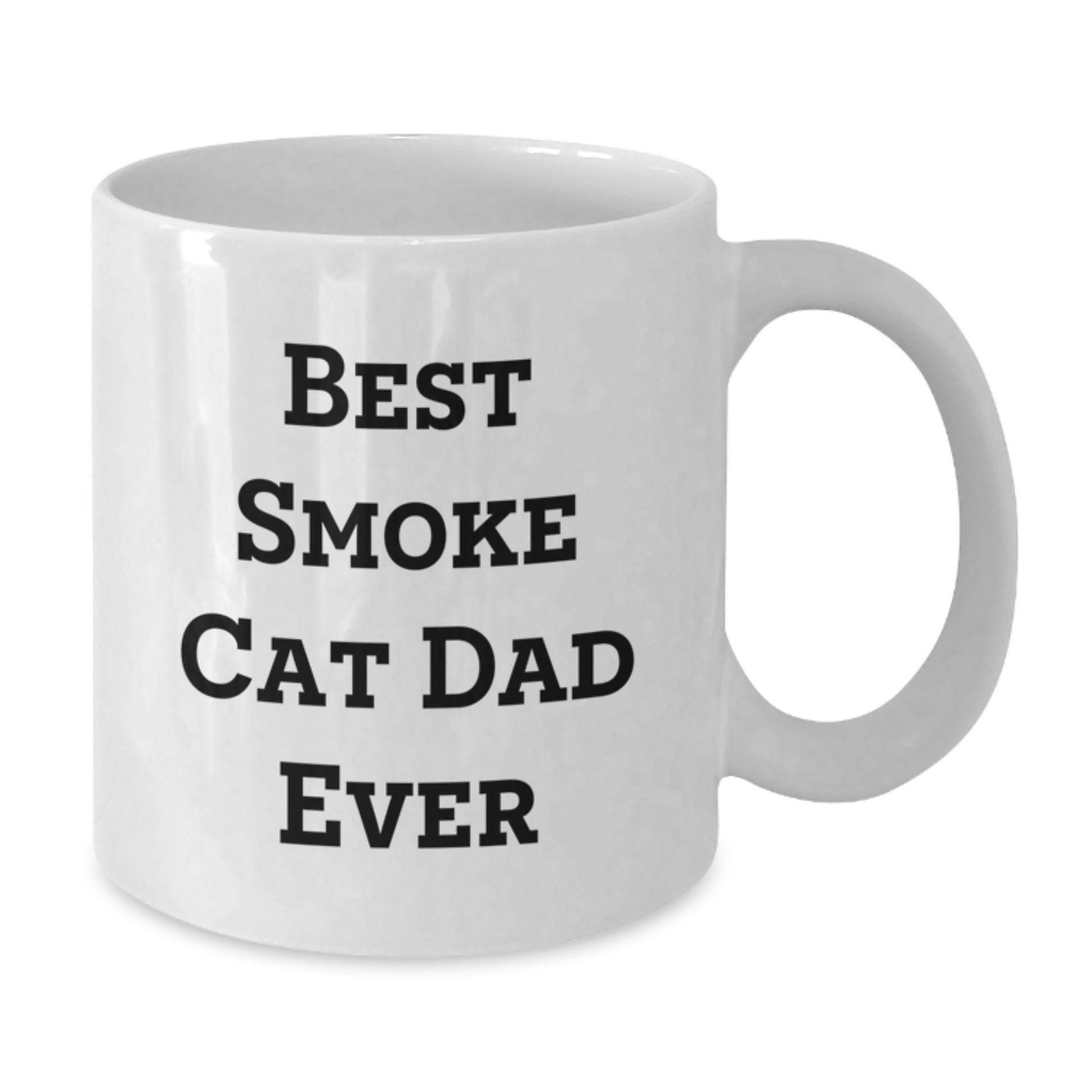 Funny Smoke Cat Dad Gifts from Family for Birthday Unique White Coffee Mugs - 'Best Smoke Cat Dad Ever' - Additional