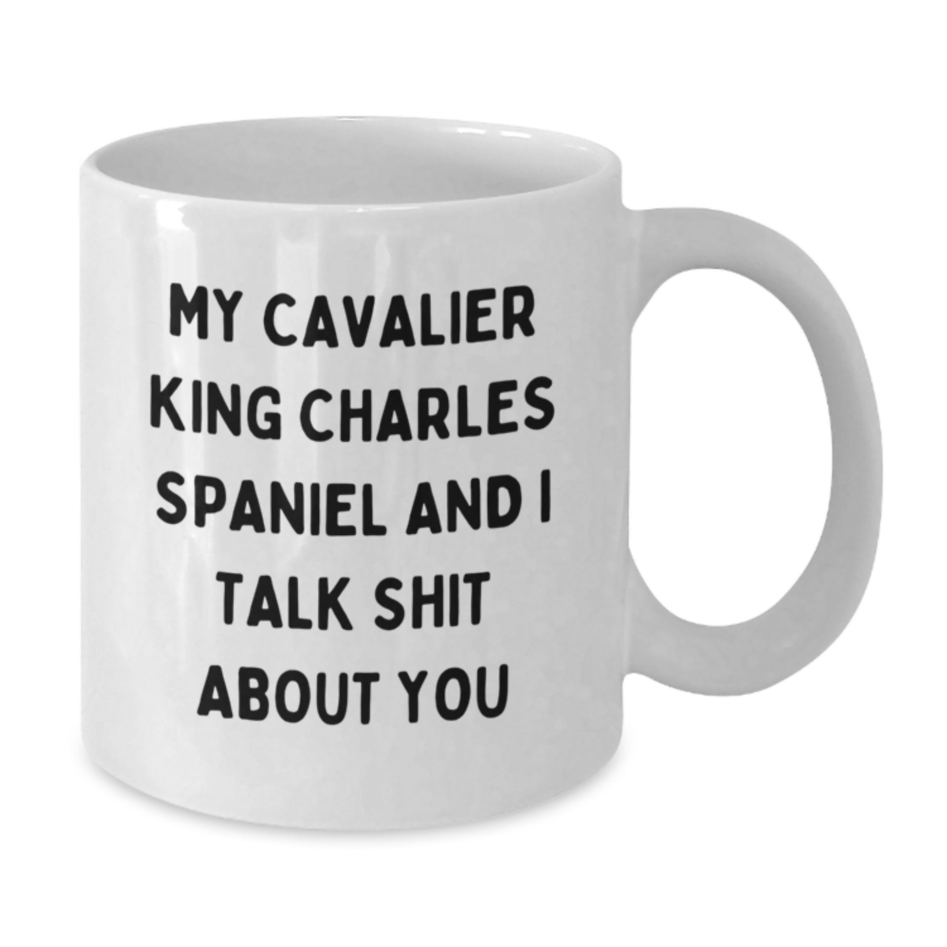 Funny Cavalier King Charles Spaniel Dog Christmas Unique Gifts for Friends and Family - White Coffee Mug - 'My Cavalier King Charles Spaniel And I Talk Shit About You' - Additional