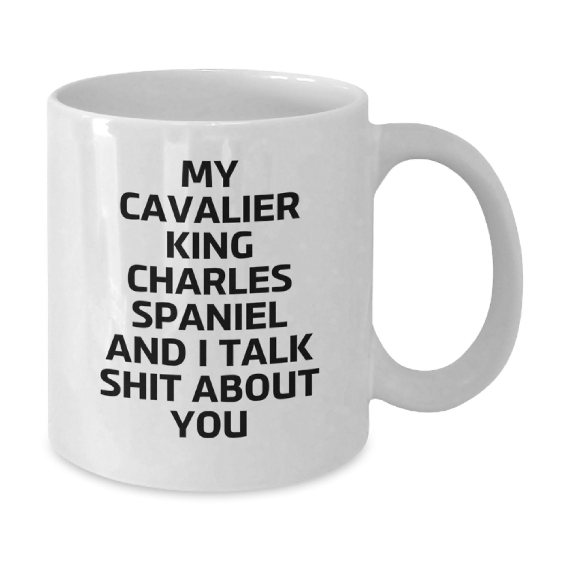 Funny Cavalier King Charles Spaniel Dog Gifts for Men Women Friends Family - White Coffee Mug, My Cavalier King Charles Spaniel And I Talk Shit About You, Christmas Unique Presents from Family - Additional
