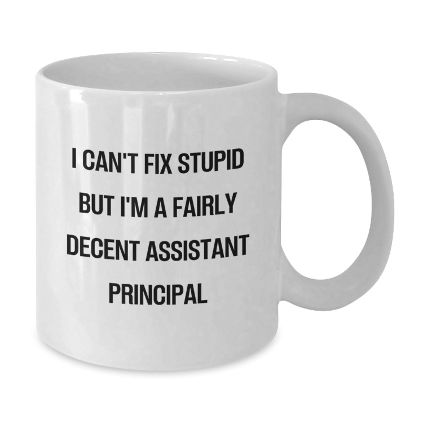 Funny Assistant Principal Gifts for Men from Friends, White Coffee Mug with I Can't Fix Stupid But I'm A Fairly Decent Quote, Graduation Unique Gifts - Additional