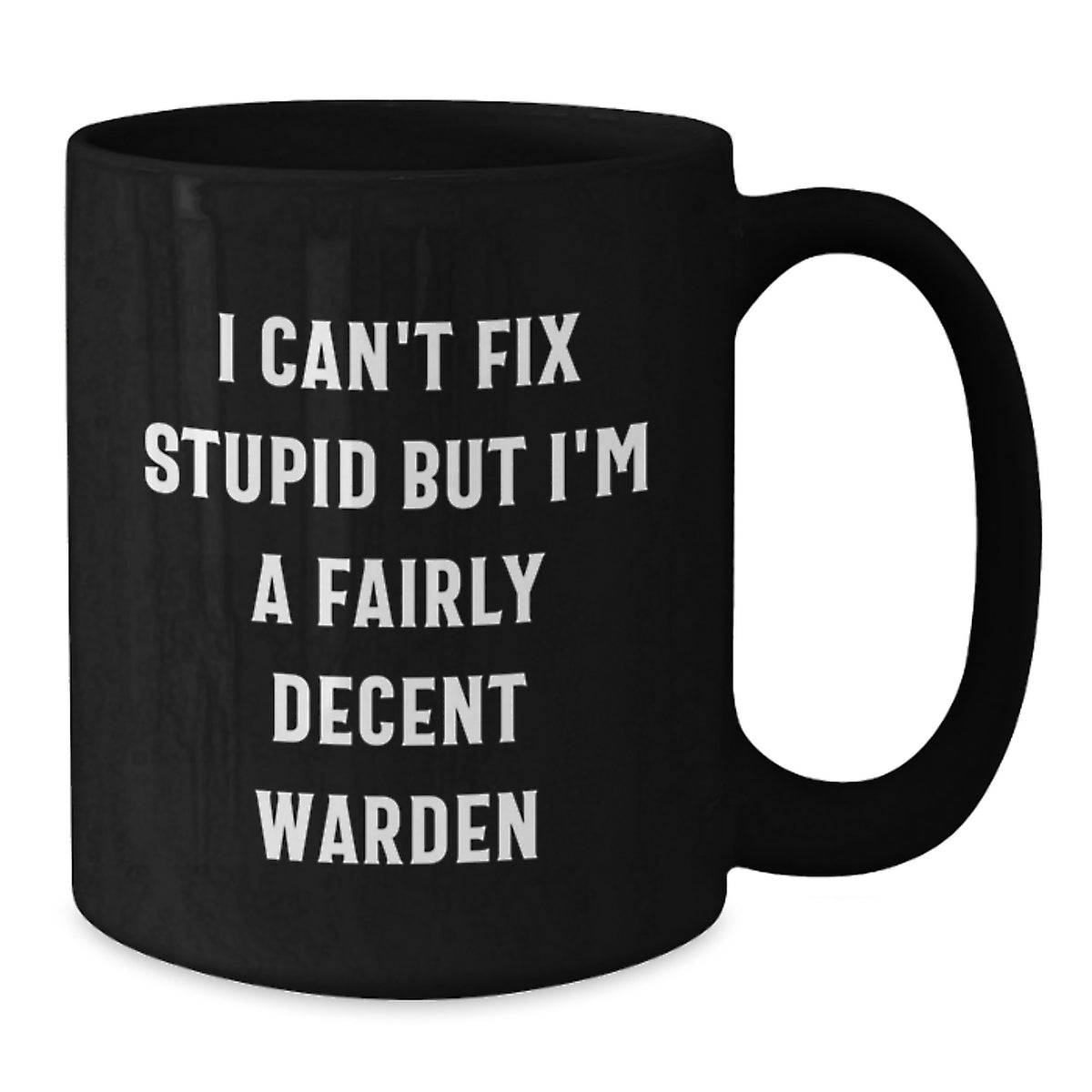 Christmas Gift for Her I Can't Fix Stupid, Decent Warden Quote Mug - Additional