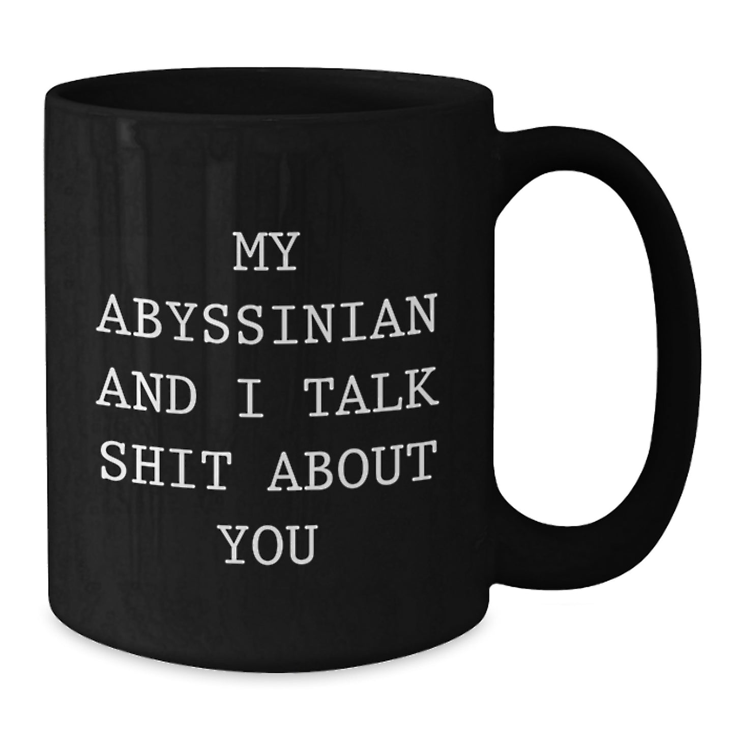 Funny Abyssinian Cat Gifts from Men for Women Friends Birthday Unique Gifts with Black Coffee Mug - My Abyssinian And I Talk Shit About You - Additional