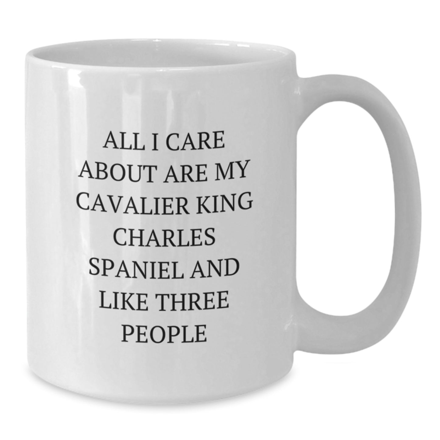 Funny Cavalier King Charles Spaniel Dog Lover Gifts from Friends Valentine's Unique - Additional