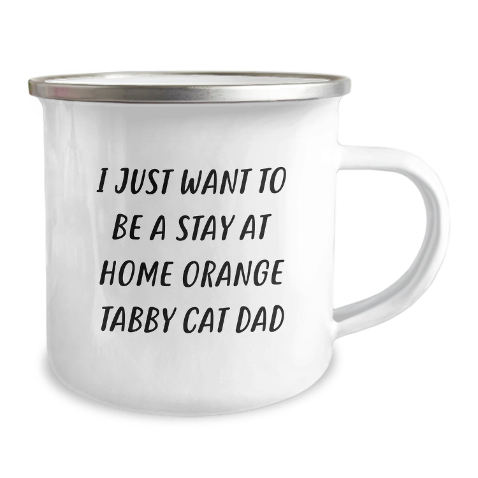 Funny Orange Tabby Cat Dad Gifts from Family for Orange Tabby Cat Lovers - I Just Want To Be A Stay At Home Orange Tabby Cat Dad Camping Mug, Graduation Unique Gifts - Image 2