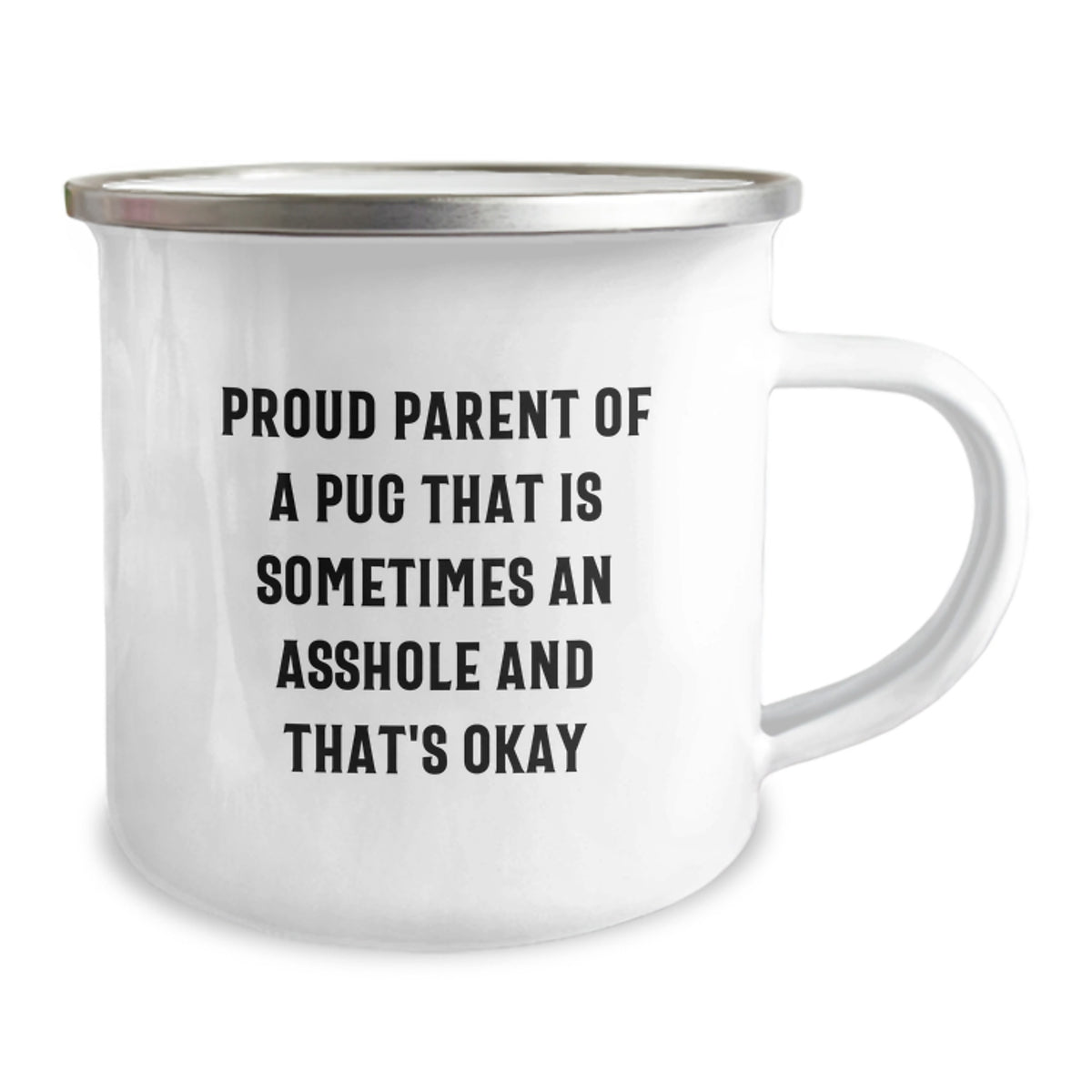 Pug Dog Gifts for Men, Funny Camping Mug, Proud Parent, Graduation Unique Gifts from Family - Image 2