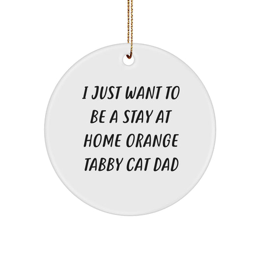 I Just Want To Be A Stay At Home Orange Tabby Cat Dad's Funny Gift, Orange Tabby Cat Circle Ornament, Christmas Unique Gifts from Men, Gifts for Orange Tabby Cat Lovers - Image 1