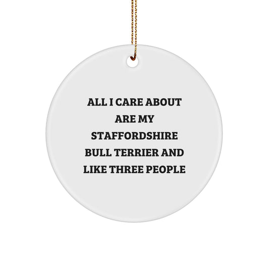 Funny Staffordshire Bull Terrier Dog Gifts from Men to Family - 'All I Care About Are My Staffordshire Bull Terrier And Like Three People' Circle Ornament for Christmas - Image 1