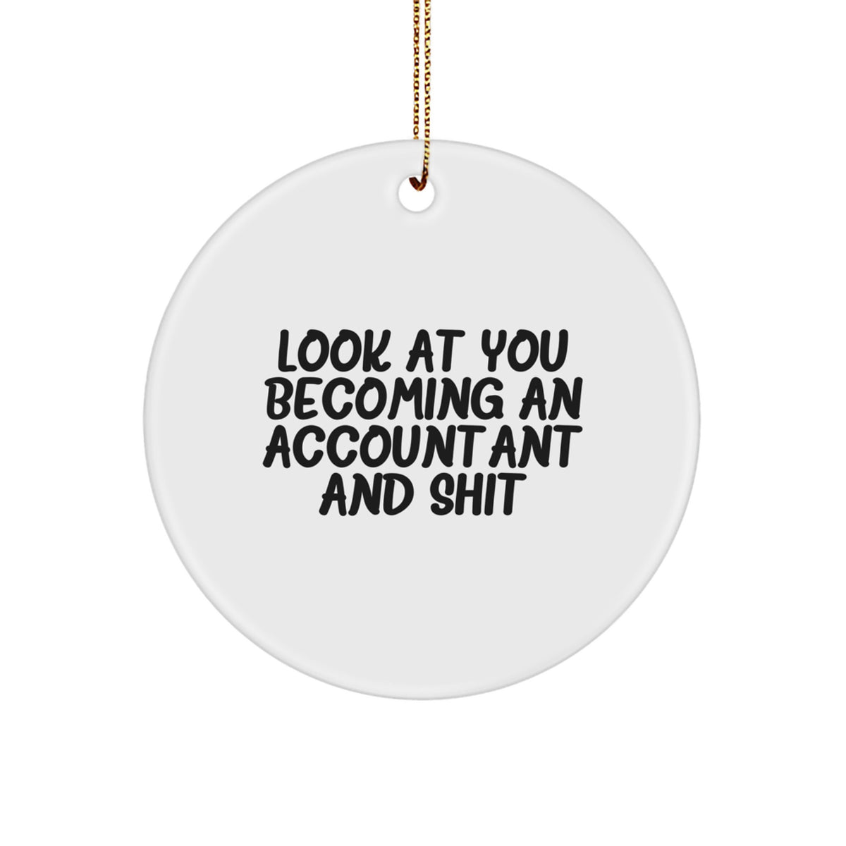 Accountant Keepsake Christmas Ornament for Him Gift – Holiday Humor - Image 1