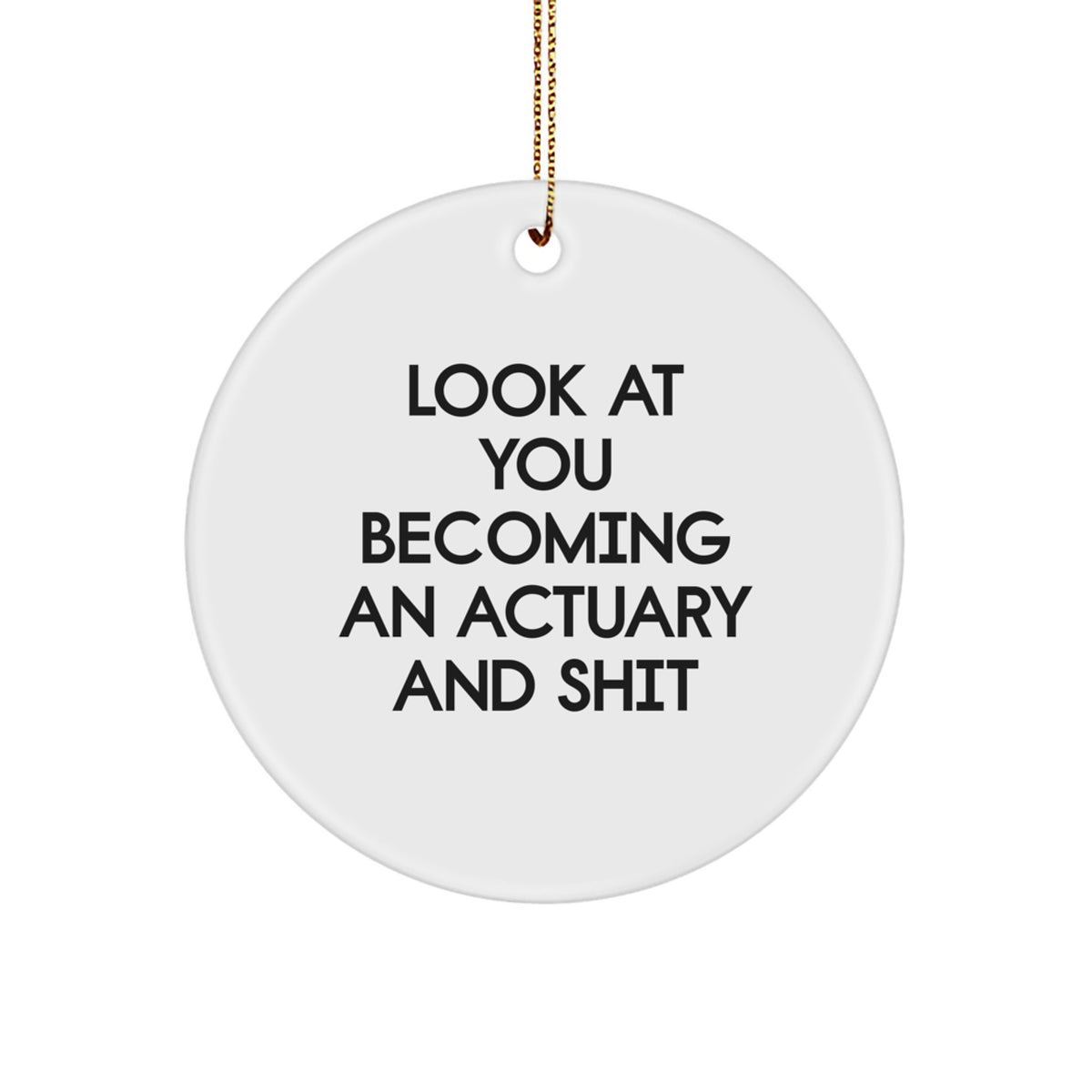 Actuary Christmas Ornament for Family Treasure Surprise Gift - Image 1