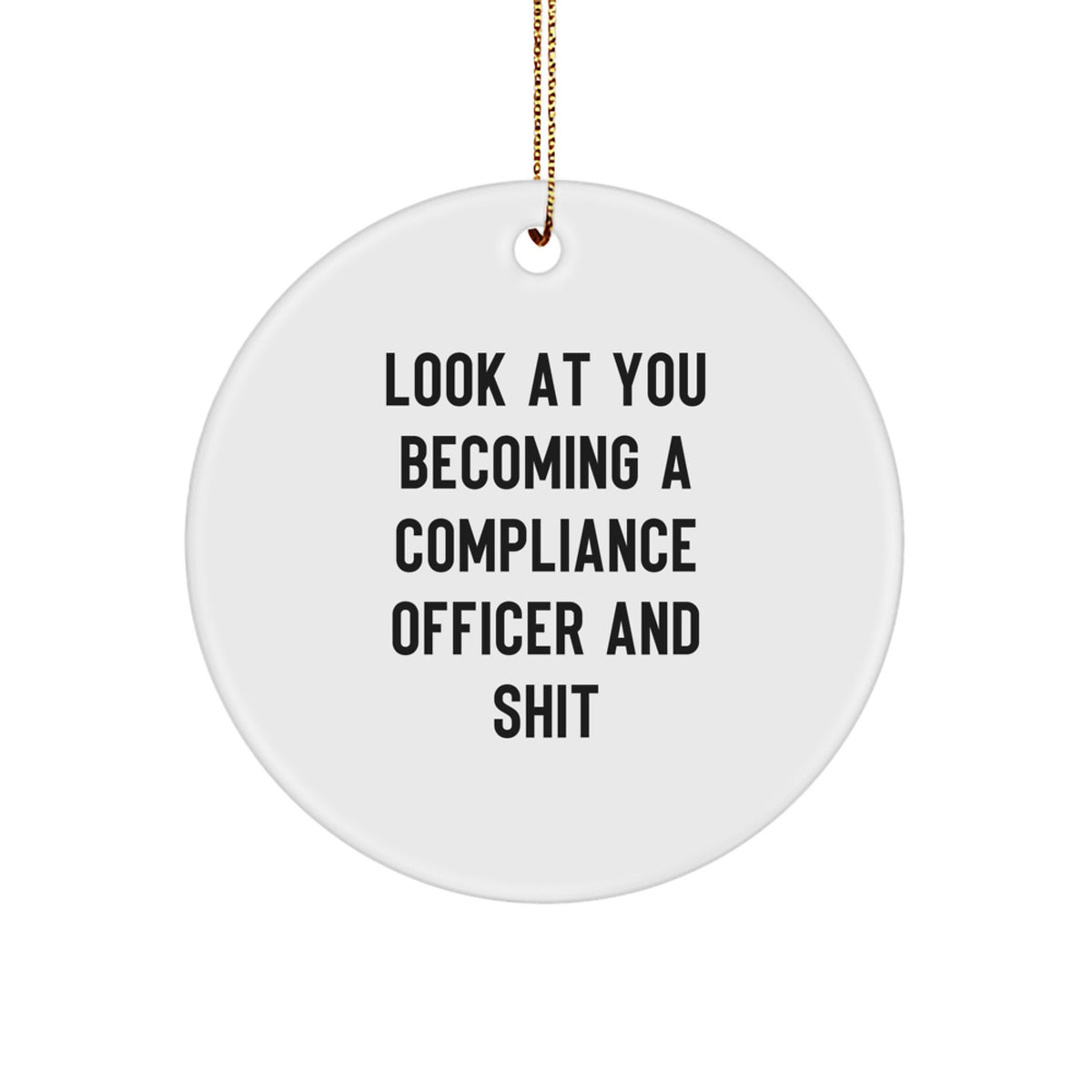 Funny Compliance Officer Gifts from Friends, Circle Ornament with Compliance Officer Quote, Christmas Unique Ornaments for Compliance Officer - Image 1