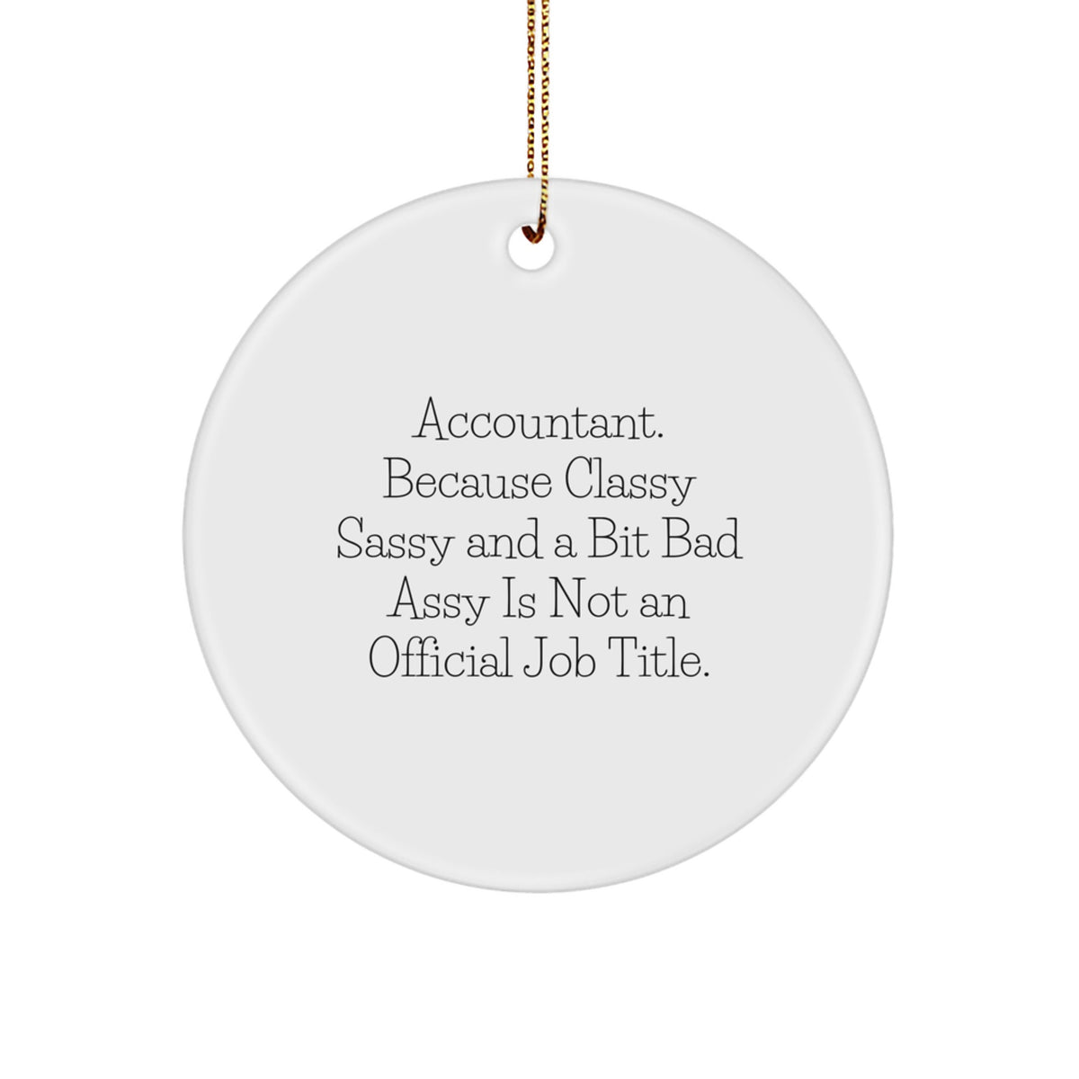 Family Treasure Accountant Circle Ornament for Family Christmas Gift - Image 1