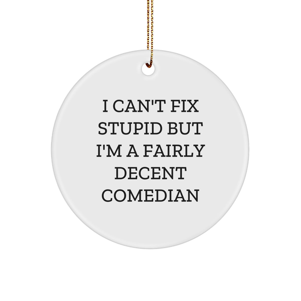 Novelty Comedian Christmas Ornament for Friends Gift I Can't Fix Stupid - Image 1