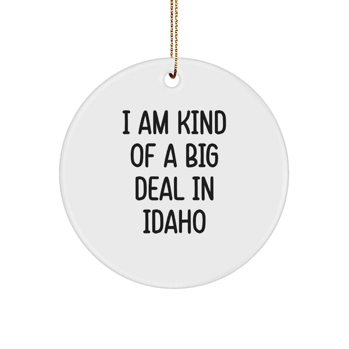 Idaho Circle Christmas Ornament for Him Gift I Am Kind Of A Prime Selection - Image 1
