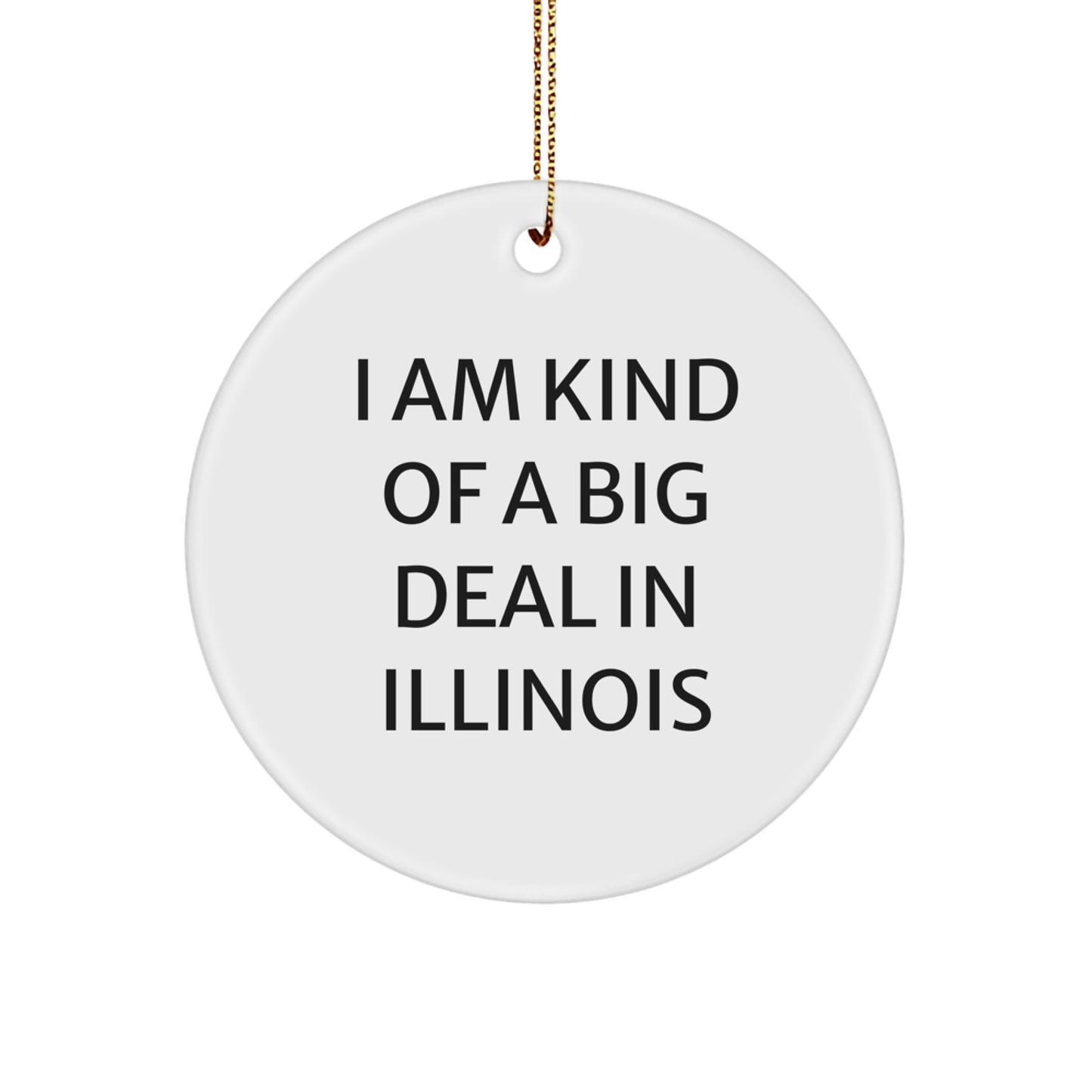 Funny Illinois Circle Ornament, Gifts from Illinoisans, 'I Am Kind Of A Prime Selection In Illinois', Unique Christmas Decorations, Illinois Gifts for Friends and Family, - Image 1