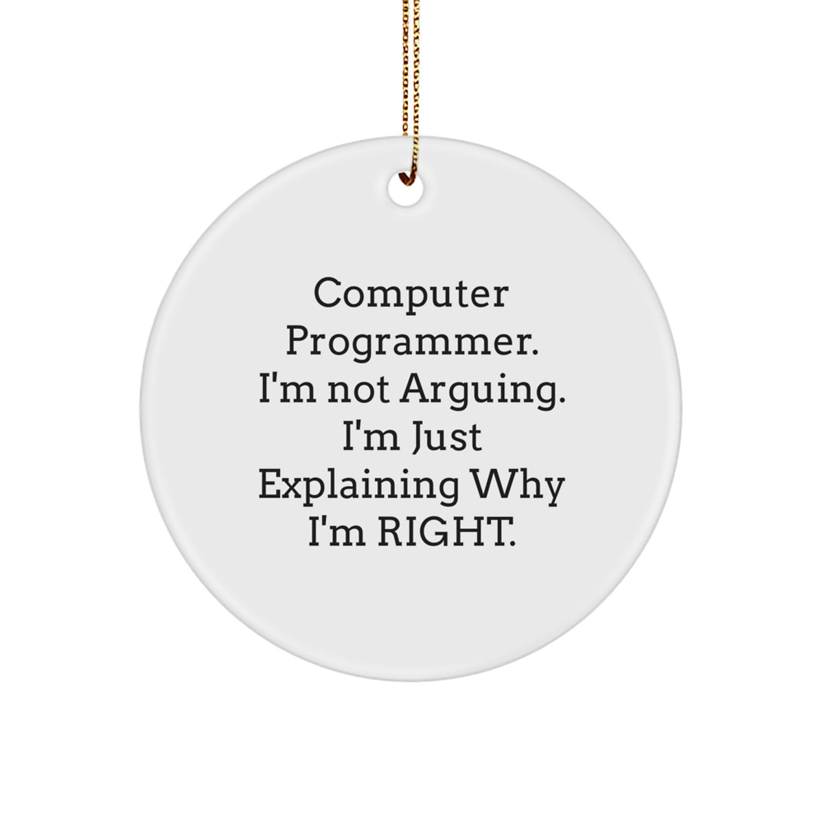 Assertive Computer Programmer Christmas Ornament Gift for Roommates - Image 1