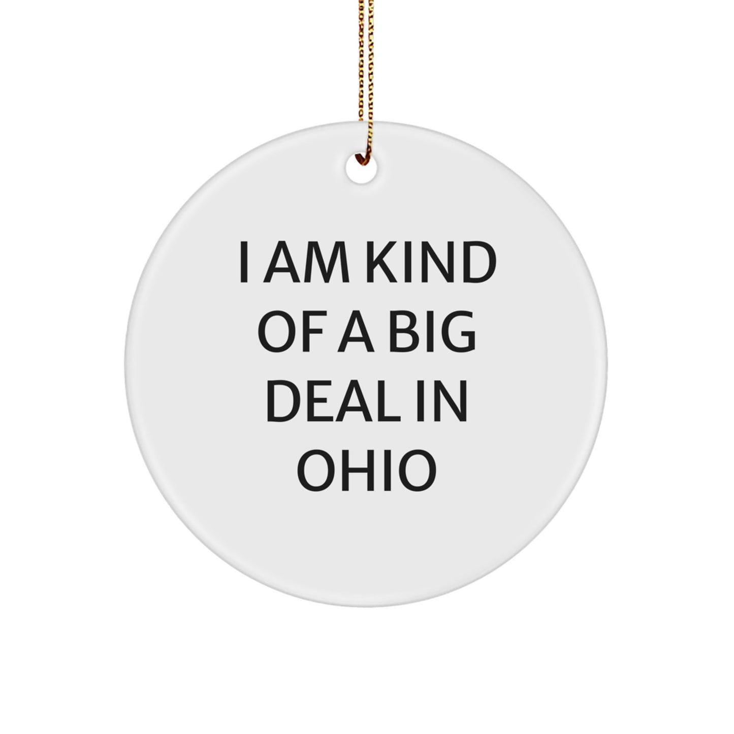 Funny Ohio Circle Ornament I Am Kind Of A Prime Selection In Ohio Gifts for Family Friends - Image 1