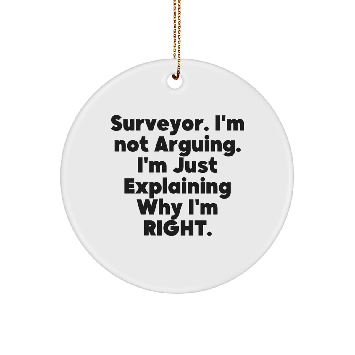 Christmas Gift Surveyor Circle Ornament for Her Present - Image 1