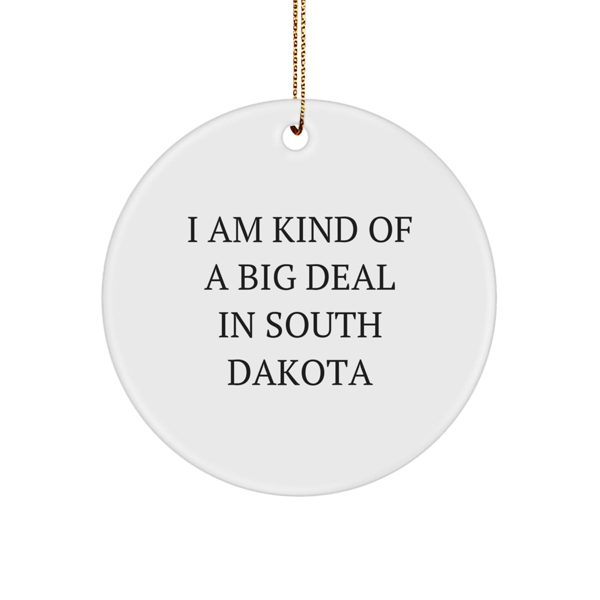 South Dakota Circle Ornament Gifts from Friends, Unique Funny Christmas Decorations I Am Kind Of A Prime Selection In South Dakota - Image 1