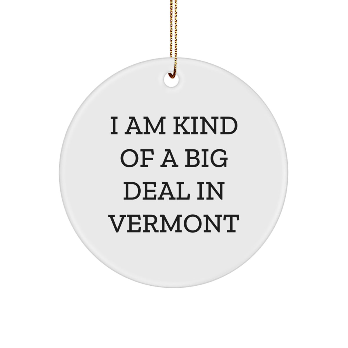 I Am Kind Of A Prime Selection In Vermont, Unique Vermont Circle Ornament for Men and Women Gifts, Funny Vermont Christmas Unique Gifts for Friends and Family - Image 1