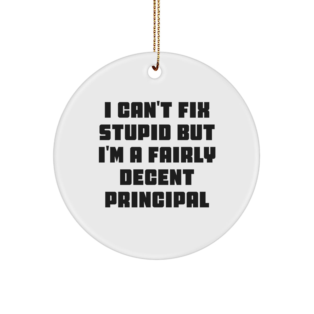 Principal Christmas Ornament I Can't Fix Stupid Gift for Coworkers Idea - Image 1