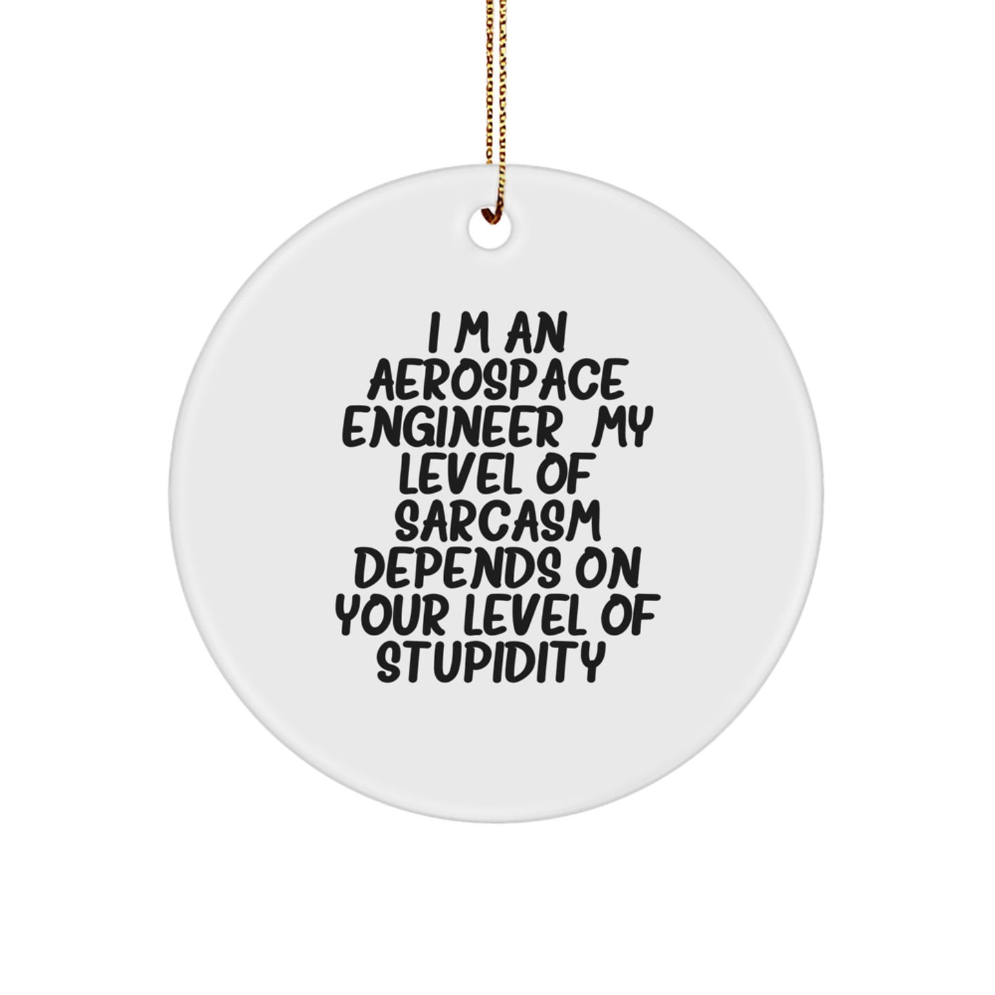 Funny Aerospace Engineer Gifts from Men to Friends - Circle Ornament, 'I'm An Aerospace Engineer...' - Image 1