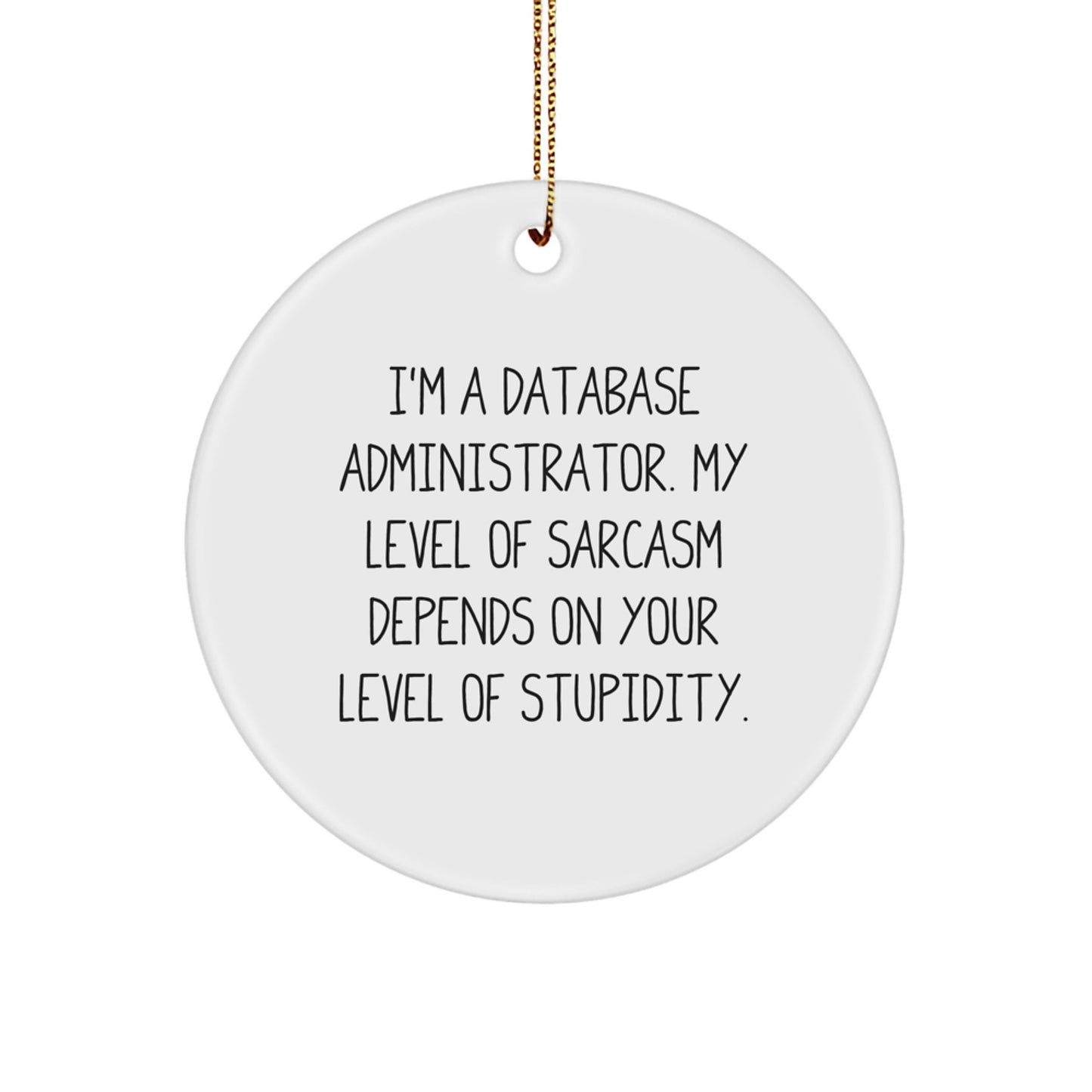 Funny Database Administrator Gifts for Men - Circle Ornament with Sarcasm Quote, Gifts from Friends - Database Administrator Christmas Unique Gifts - Image 1