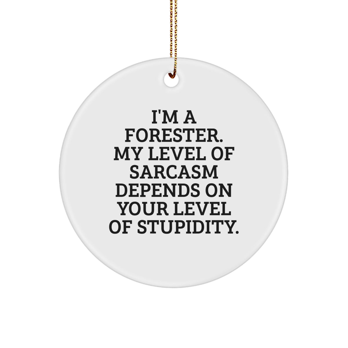 Funny Forester Gifts for Men, Women, and Friends - Christmas Unique Circle Ornament, Sarcasm Level Depends on Stupidity - Forester Humor - Image 1