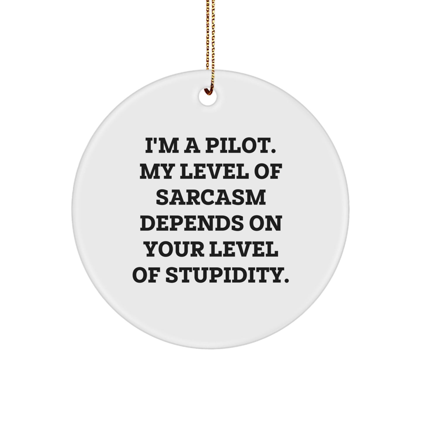 Funny Pilot Gifts from Friends for Men on Christmas Unique Circle Ornament - Image 1