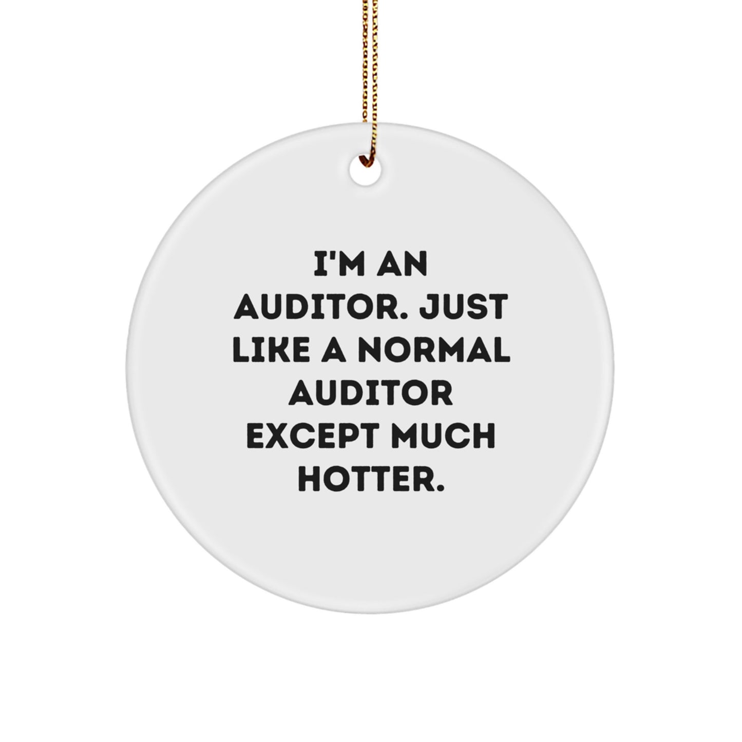 Funny Auditor Gifts, Christmas Unique Circle Ornaments for Auditor Friends, Gifts from Men to Auditor Coworkers - Image 1