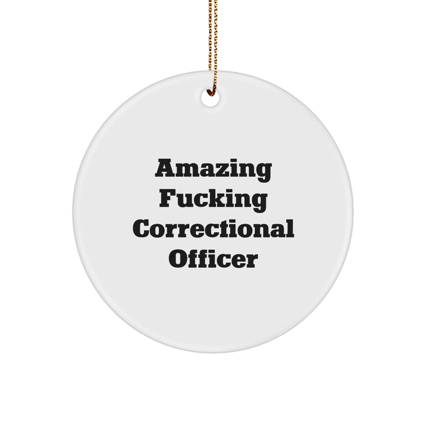Funny Correctional Officer Gifts from Men to Correctional Officer Friends - Amazing Circle Ornament for Christmas - Image 1