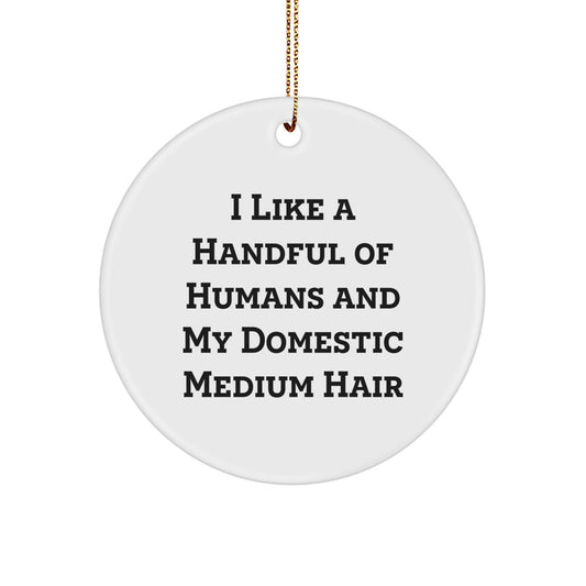 Funny Domestic Medium Hair Cat Gifts for Friends and Family - I Like A Handful Of Humans And My Domestic Medium Hair Cat Circle Ornament, Perfect for Christmas - Image 1