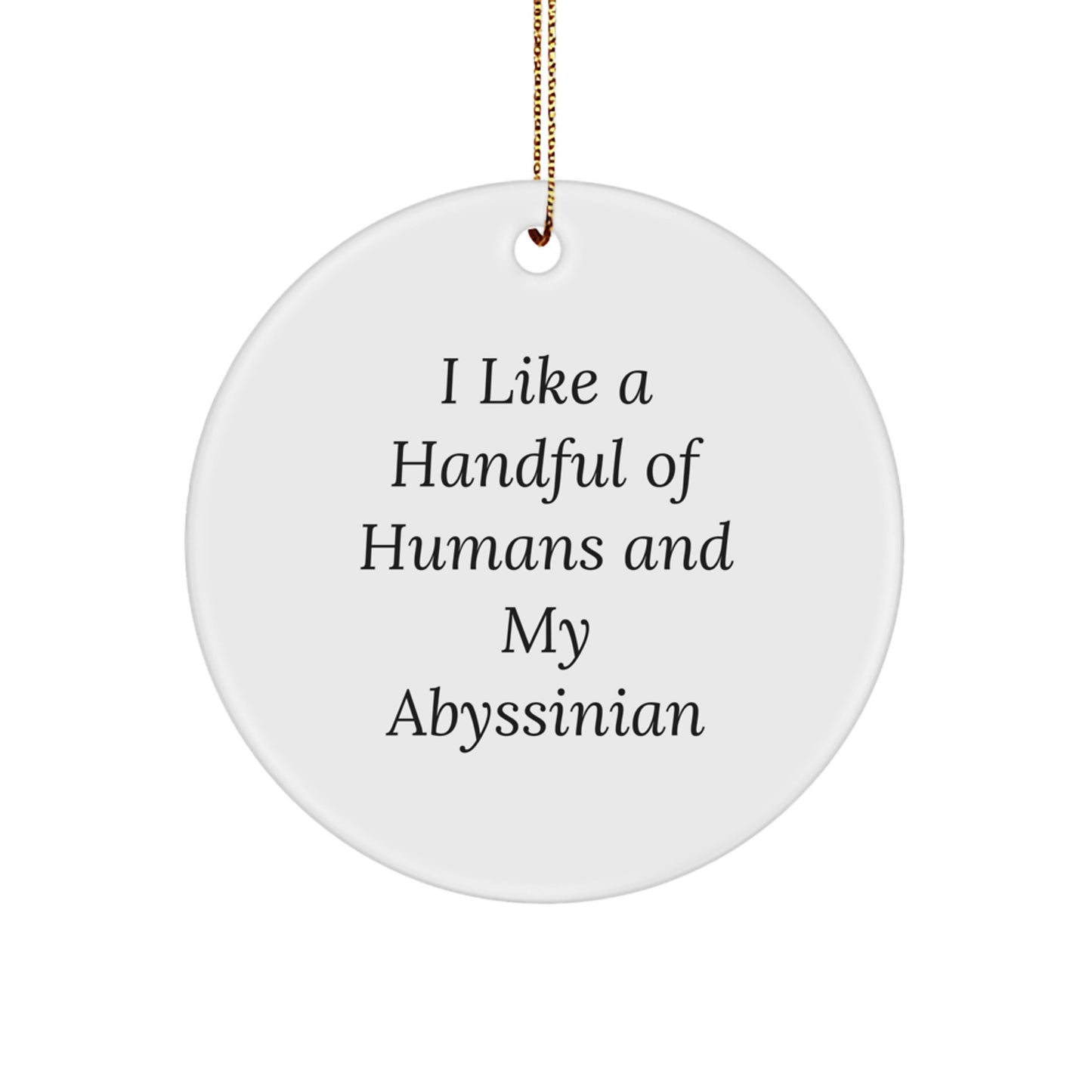 Abyssinian Cat Circle Ornament Funny Gift from Friends for Christmas - Image 1