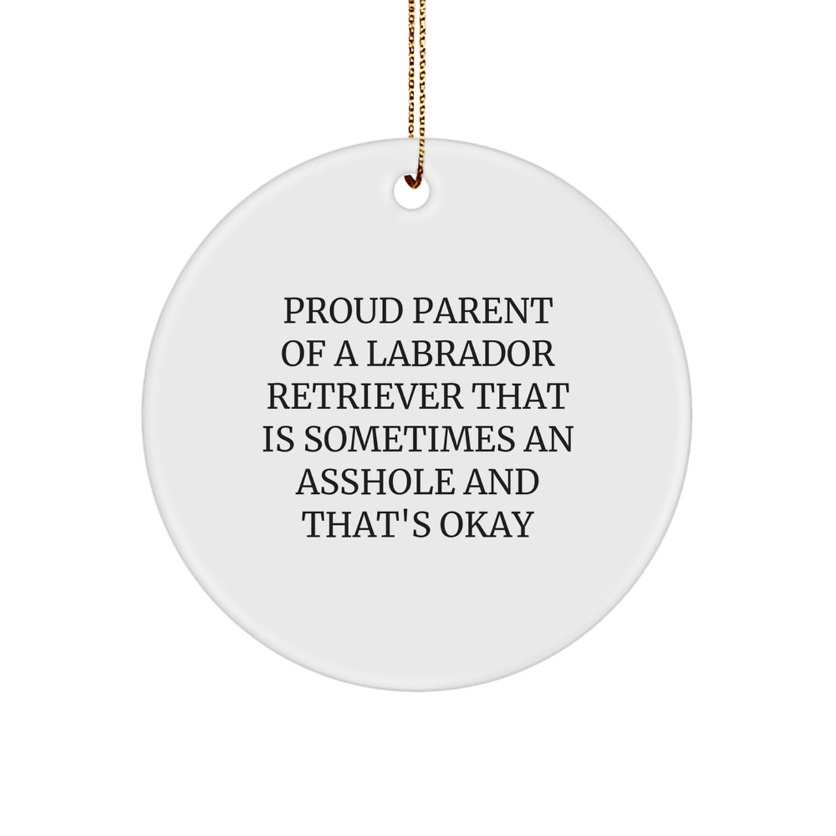 Labrador Dad Keepsake Christmas Ornament for Him Gift - Image 1
