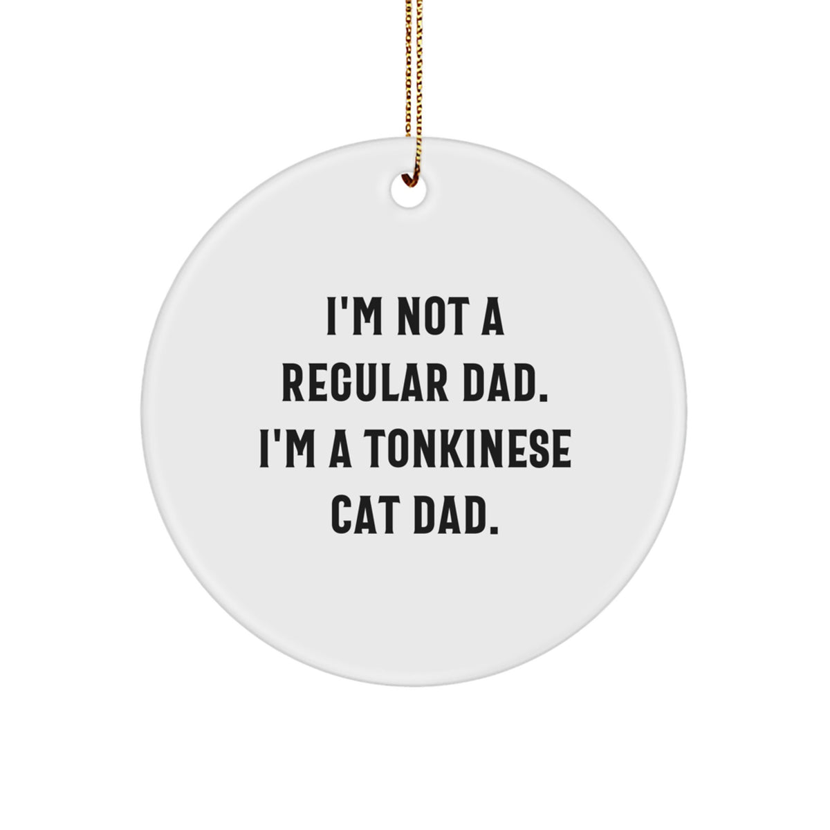 Family Treasure Not a Regular Dad Tonkinese Cat Christmas Ornament Gift - Image 1