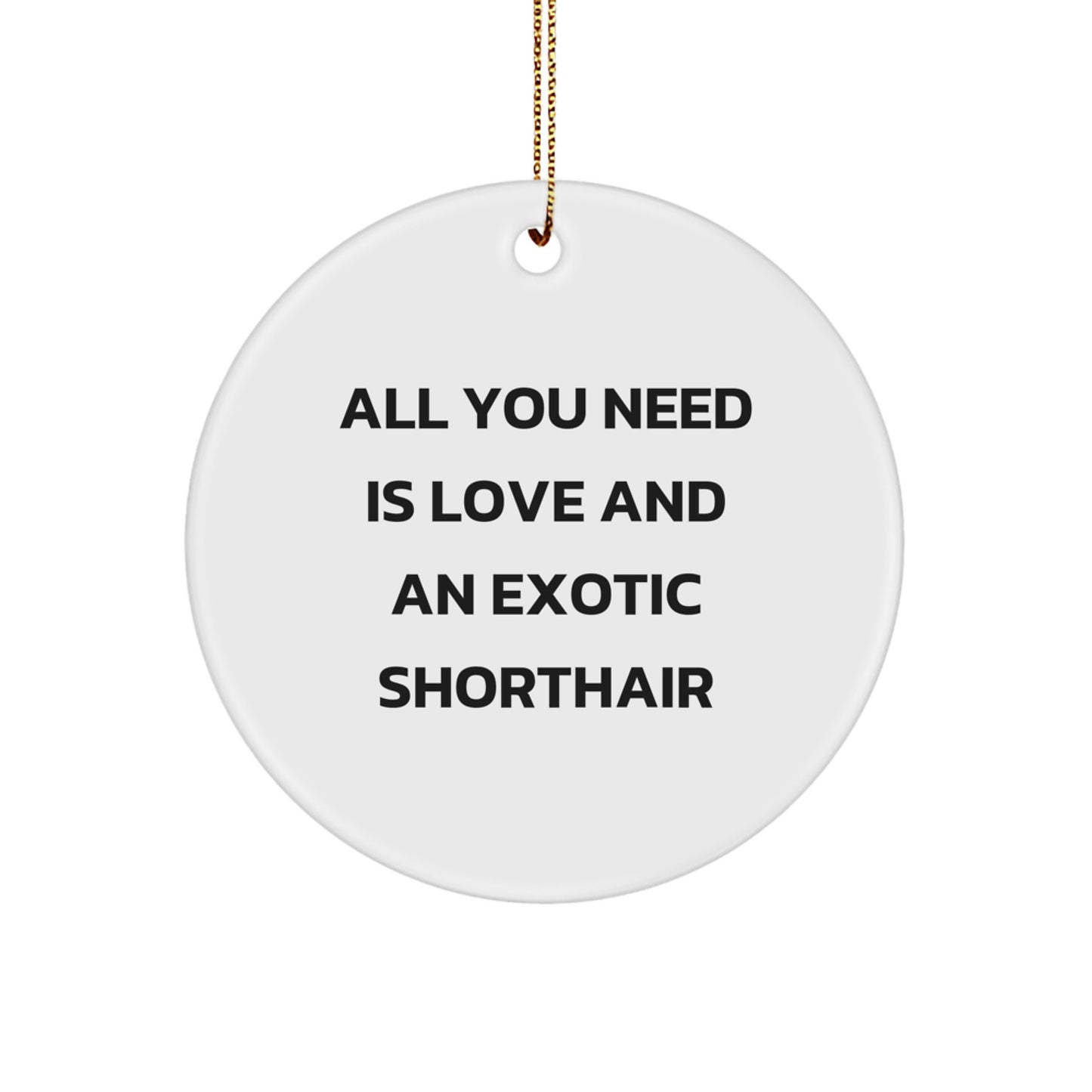 Funny Exotic Shorthair Cat Gifts for Christmas Unique Circle Ornament from Friends - Image 1