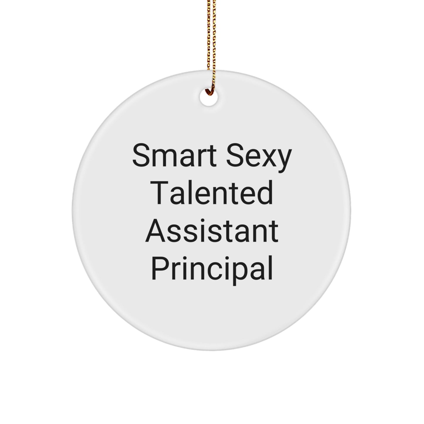 Funny Assistant Principal Christmas Circle Ornament Gifts from Friends and Family - Smart Sexy Talented, Perfect for Men Women Coworkers - Image 1