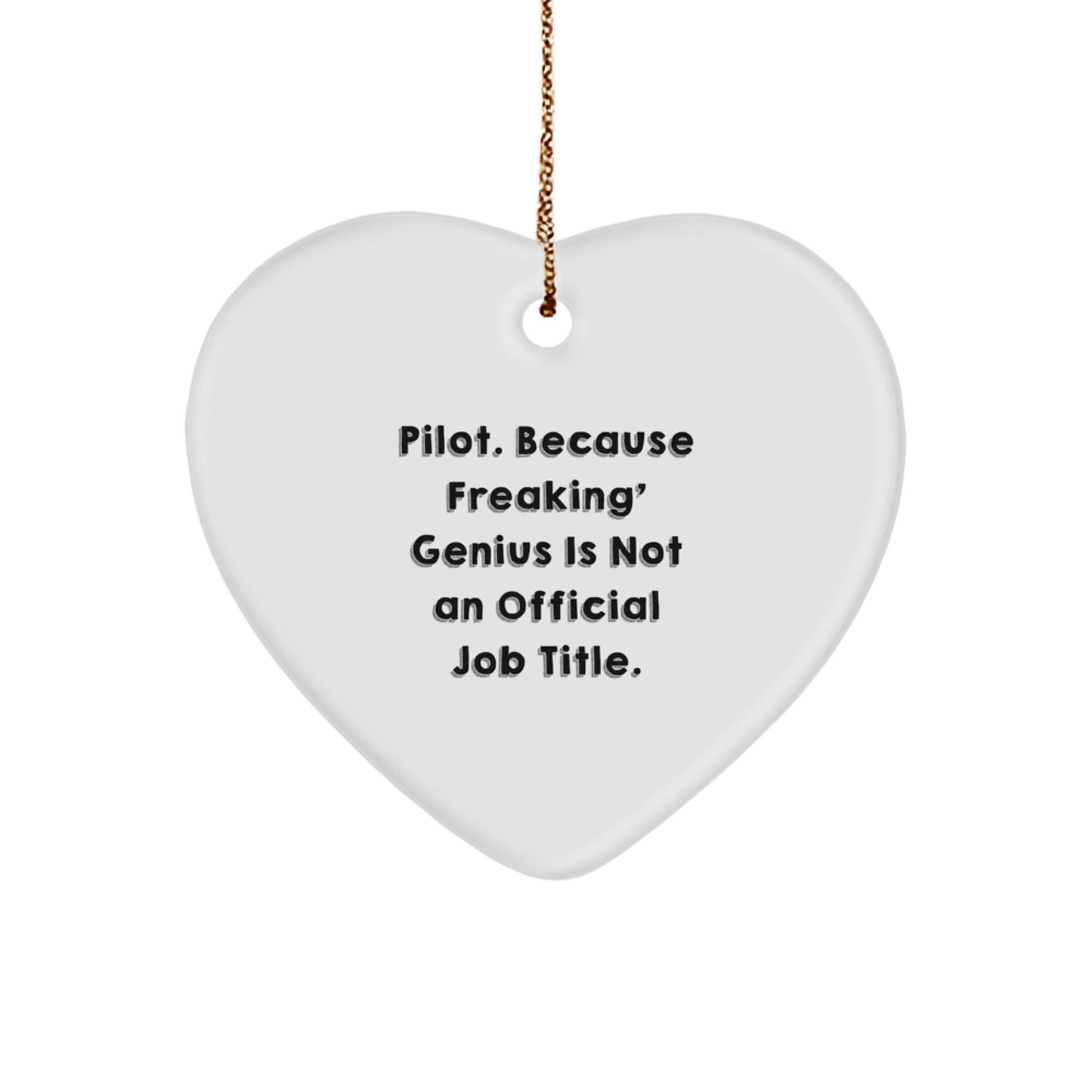 Pilot Heart Ornament Funny Quote 'genius Is Not An Official Job Title' Gifts for Men Pilot Friends Coworkers Family - Image 1