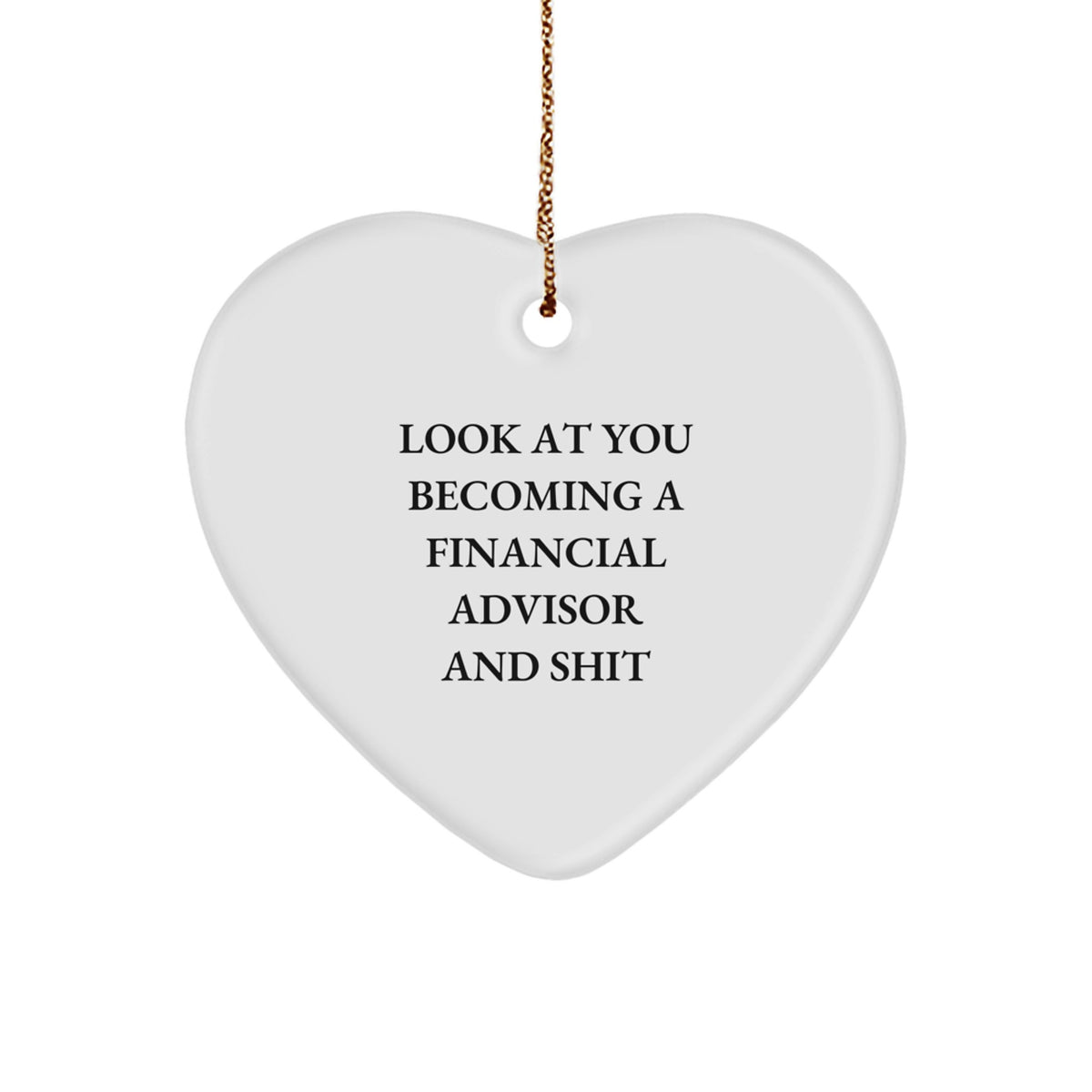 Financial Advisor Christmas Ornament Gift for Family, Treasure – Funny - Image 1