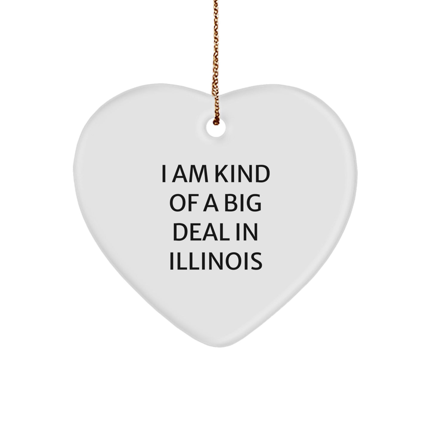 Funny Illinois Gifts from Men, Heart Ornament with I Am Kind Of A Prime Selection Quote, Perfect Christmas Unique Gifts for Illinois Family - Image 1