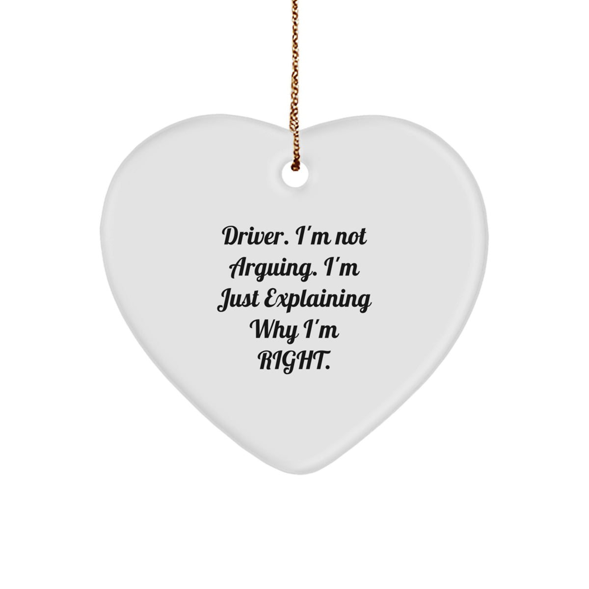 Driver Christmas Ornament Gift for Family - Treasure Explaining Why I'm - Image 1