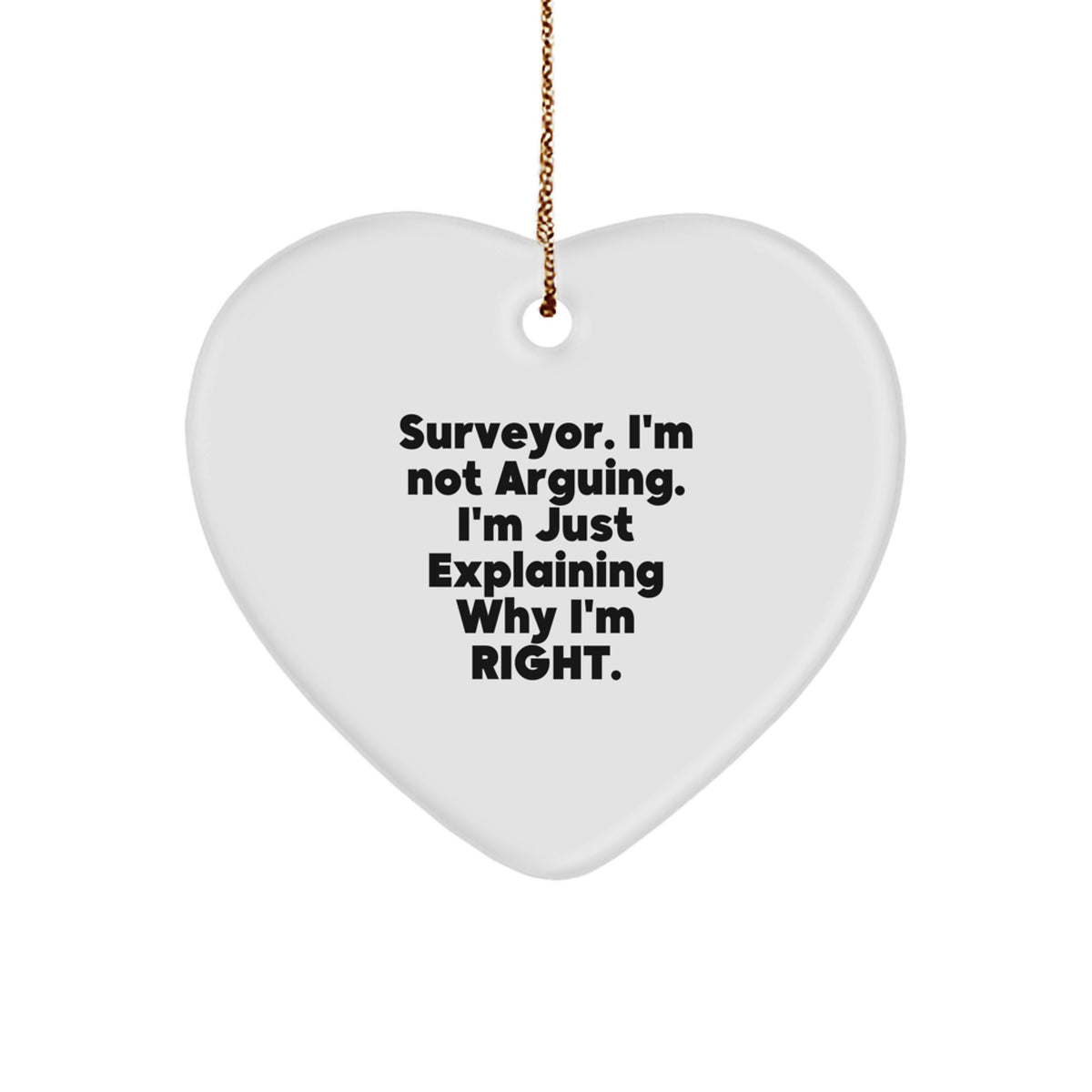 Heart Christmas Ornament Surveyor Gift for a Best Friend Companion - Image 1
