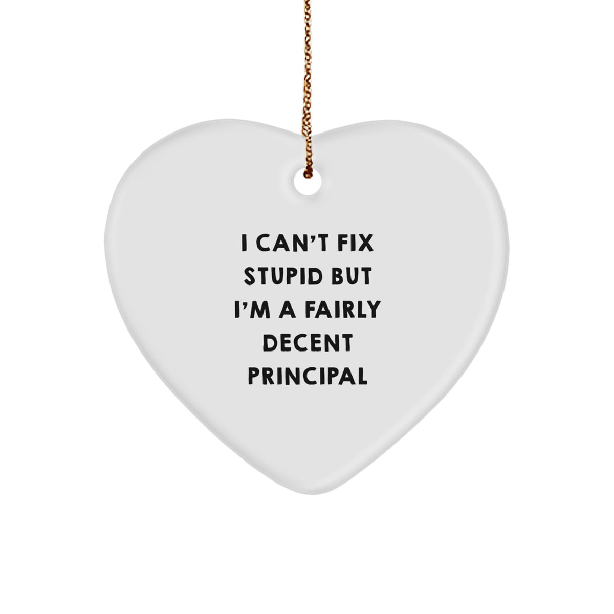 Principal Heart Ornament I Can't Fix Stupid Gift for Neighbor Christmas - Image 1
