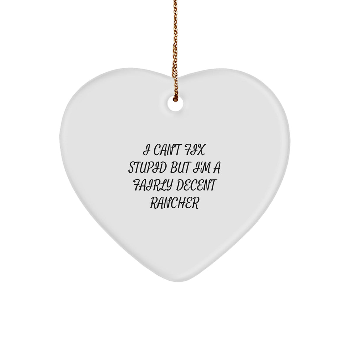 Heart Ornament Gift for Coworkers I Can't Fix Stupid, Fairly Rancher - Image 1