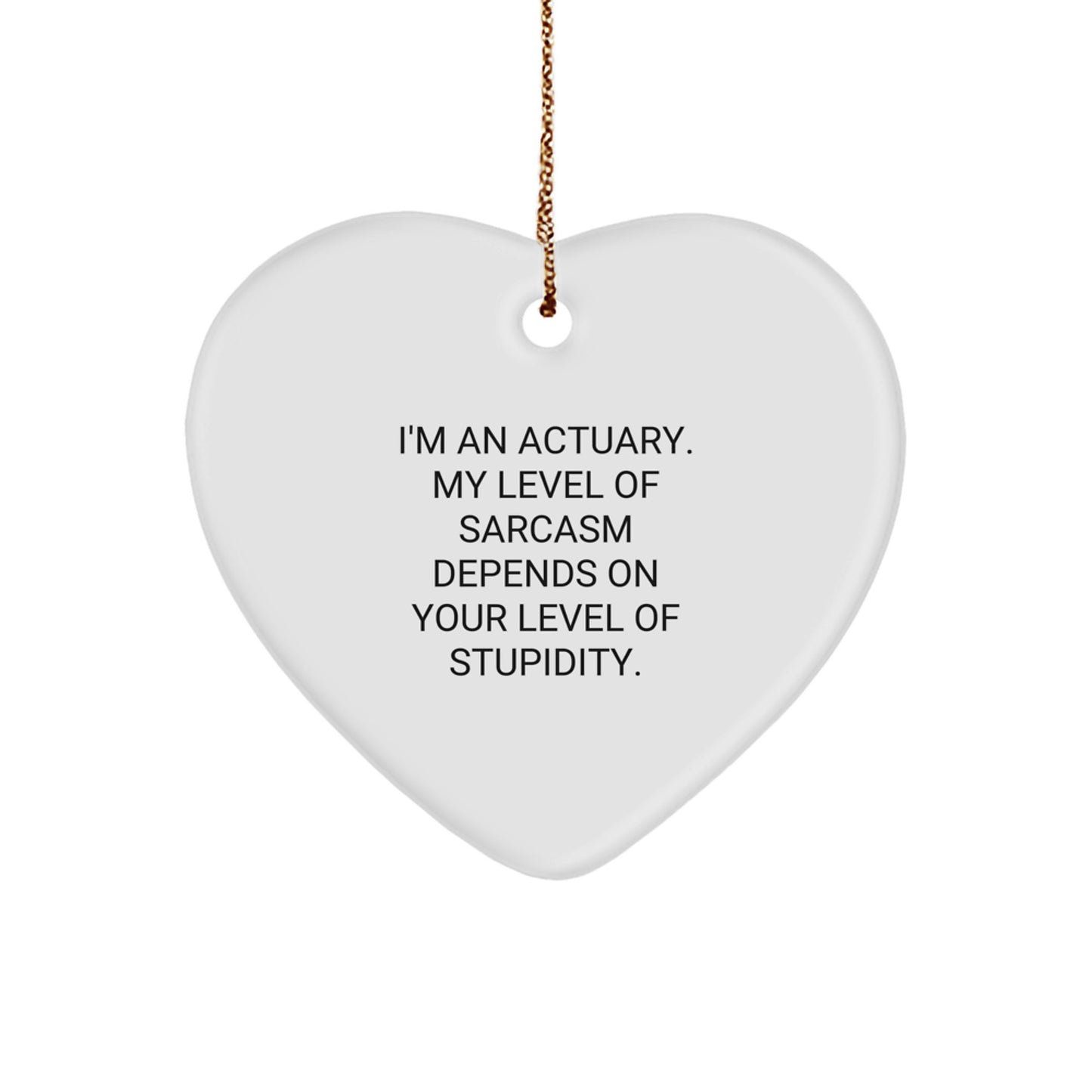 Funny Actuary Gifts from Men to Friends - Actuary Heart Ornament with Sarcasm Quote for Christmas Unique Gifts - Image 1