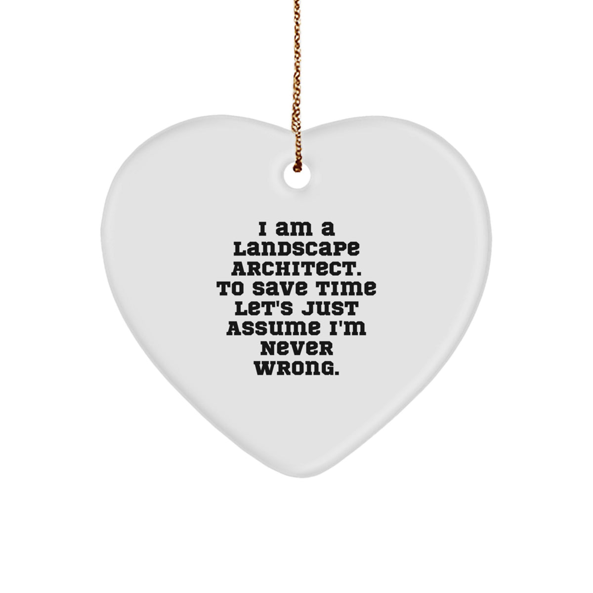 Christmas Unique Gift Landscape Architect Heart Ornament Surprise for Teens - Image 1