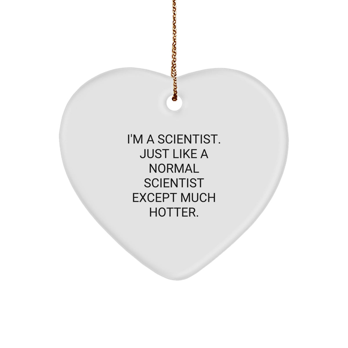 Gifts from Friends, Funny Scientist Heart Ornament, Christmas Unique Gifts for Scientists - Image 1
