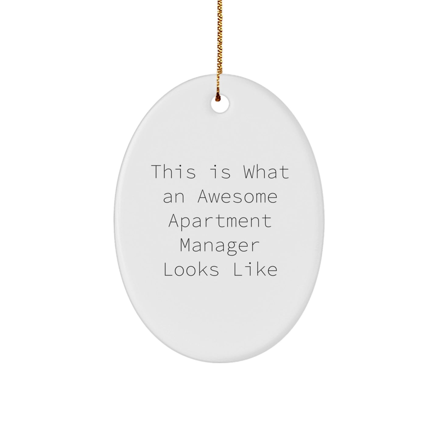 Funny Apartment Manager Gifts Oval Ornament This Is What An Awesome Apartment Manager Looks Like Christmas Unique Gifts for Men from Friends - Image 1