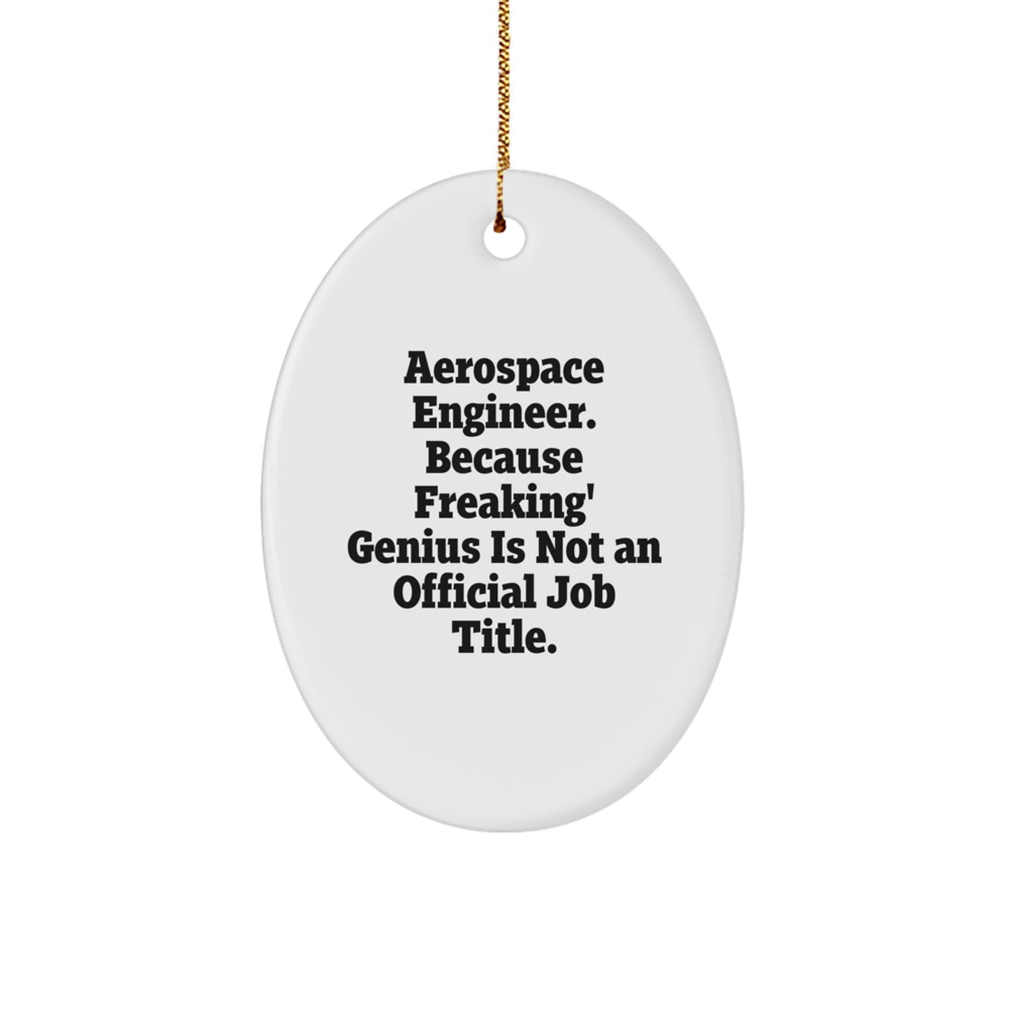 Funny Aerospace Engineer Oval Ornaments Gifts for Men from Family - Oval Shaped Ornaments with Quirky Quote - Image 1