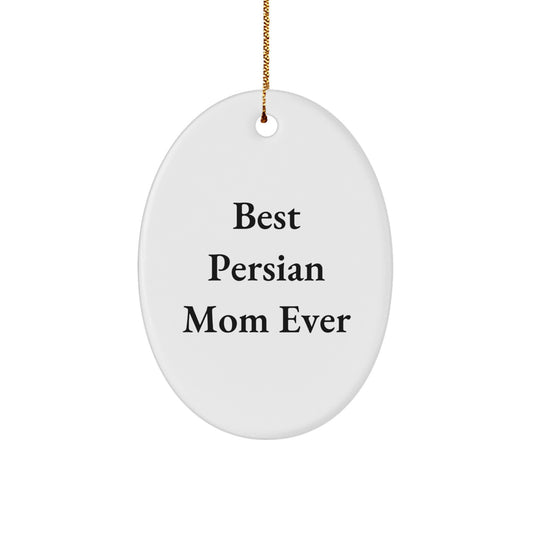 Funny Persian Cat Mom Gifts for Christmas - Oval Ornament from Friends and Family - Image 1