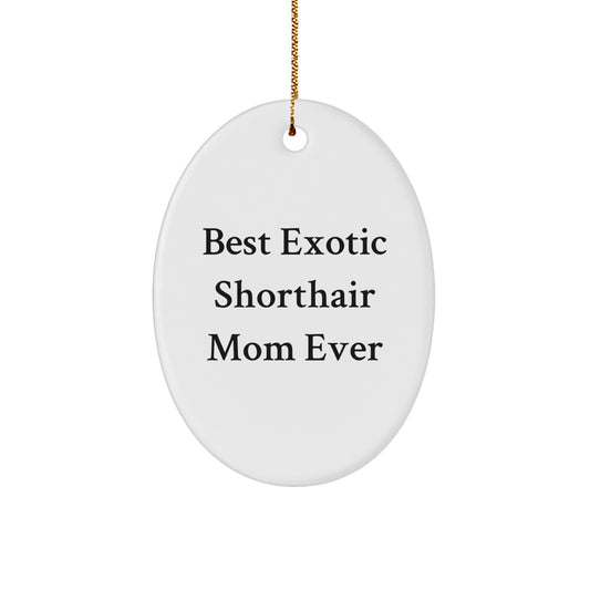 Funny Exotic Shorthair Cat Mom Gifts from Men to Family - Oval Ornament for Christmas Unique Presents - Image 1